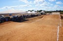 DSC08318.jpg