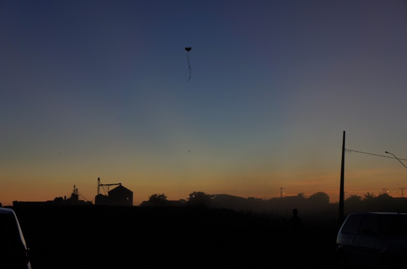 DSC08910.jpg