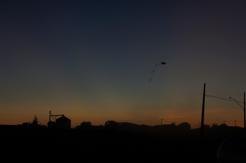 DSC08913.jpg