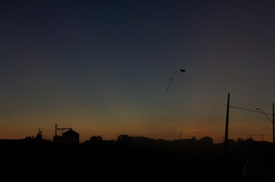 DSC08913.jpg