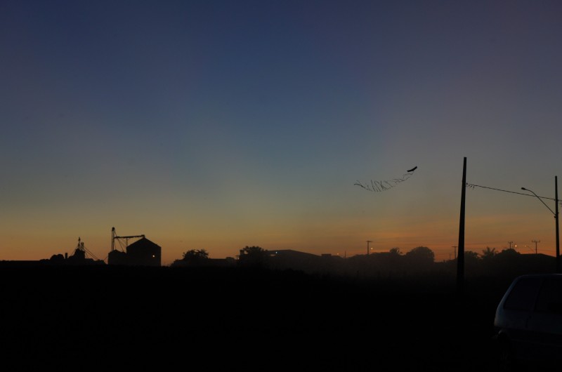 DSC08914.jpg