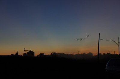 DSC08914.jpg
