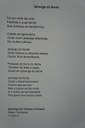DSC09849.jpg