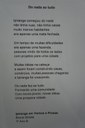 DSC09856.jpg