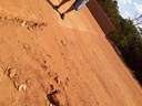 20170810_134935.jpg