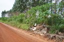 DSC01971.JPG