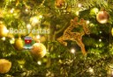 boas-festas