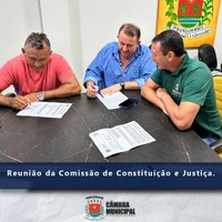 REUNIÃO DA COMISSÃO DE CONSTITUIÇÃO E JUSTIÇA.