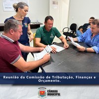 REUNIÃO DA COMISSÃO DE TRIBUTAÇÃO, FINANÇAS E ORÇAMENTOS.