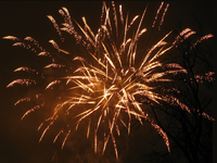 Projeto de lei que proíbe fogos de artifício com estampidos é aprovado pela Câmara de Ipiranga do Norte